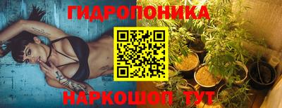jwh Бийск