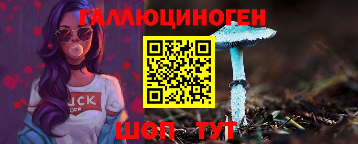 Галлюциногенные грибы MAGIC MUSHROOMS  Вход с VPN  Каменск-Шахтинский 